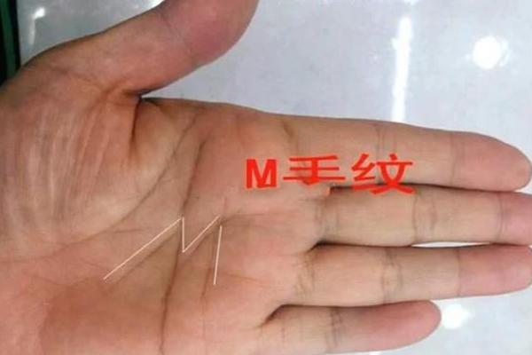 独家揭秘：大M手相背后的惊人秘密！
