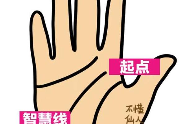 独家揭秘：大M手相背后的惊人秘密！