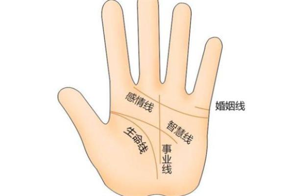 手相大师揭秘：如何一眼看出专一忠诚的命理特征