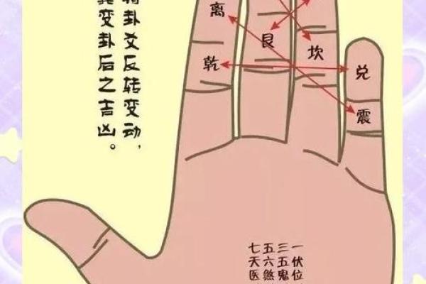 掌中奥秘：男女手相揭秘，识人秘籍一睹为快！