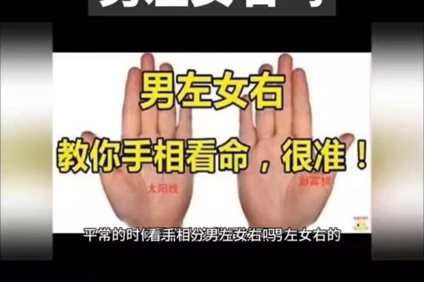 掌中奥秘：男女手相揭秘，识人秘籍一睹为快！