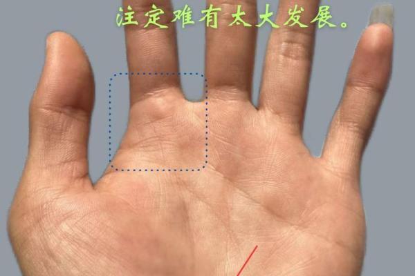 手相财运线断，揭秘你的财富运势转折点！
