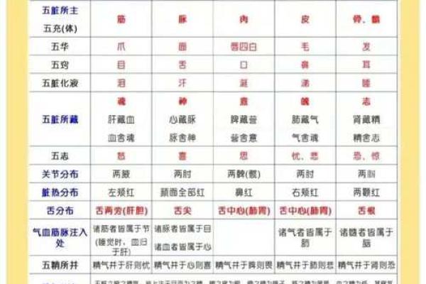 慕五行：五行理论在当代社会的实际应用