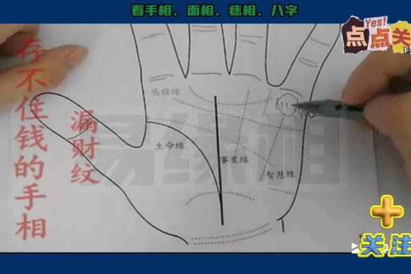 手上藏宝图：一指之间，揭秘你的健康与财运！