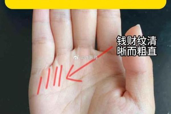 手上藏宝图：一指之间，揭秘你的健康与财运！