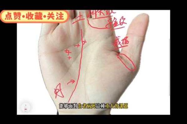 手相损伤揭秘：影响运势的神秘力量