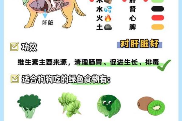 秋天的五行属性解析