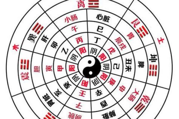 五行与八卦的深层次联系解析