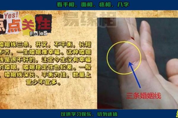 手相中的复婚征兆：一招教你识别爱情轮回的线索