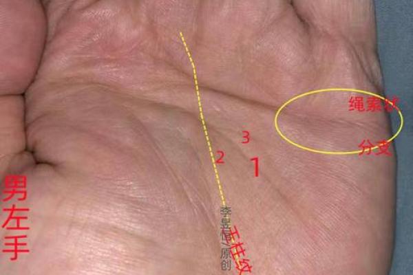 手相中的复婚征兆：一招教你识别爱情轮回的线索