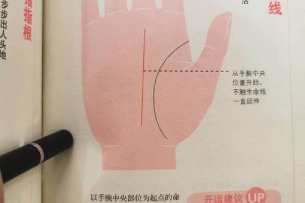 面相与手相，揭秘命运密码的双生解读