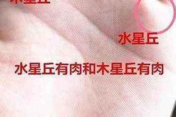 手相揭秘：木星丘的运势密码，掌握财运人生！