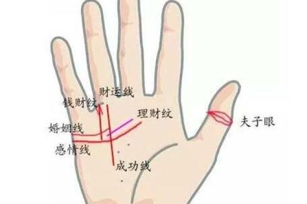 手相揭秘：木星丘的运势密码，掌握财运人生！