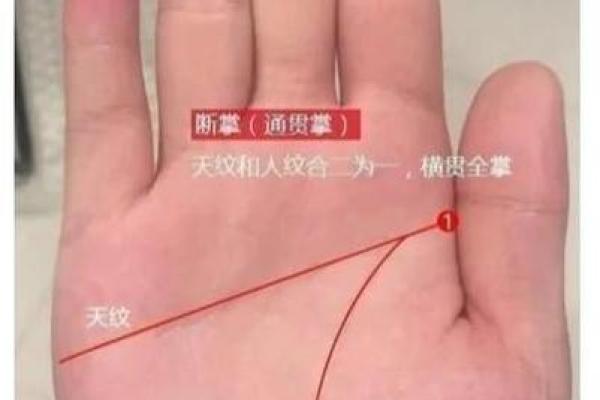 神秘断掌手相解密：窥探人生成败的关键密码