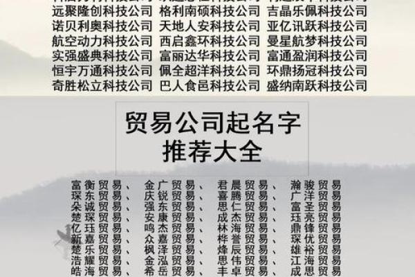 独特四字金融公司命名策略