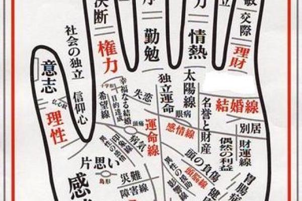 手相面相秘籍：揭秘命运密码