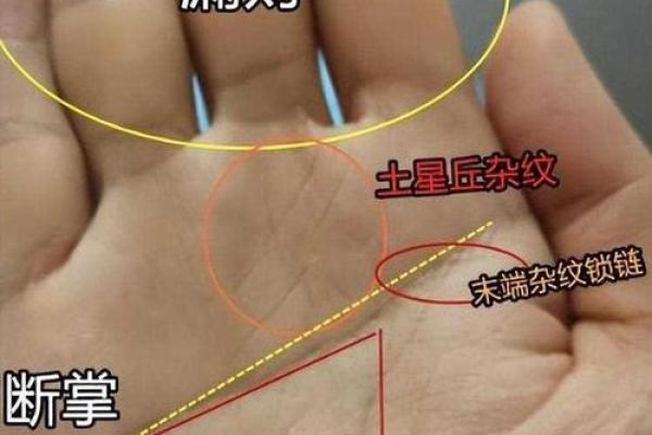 蛇手揭秘：手相中的财富密码