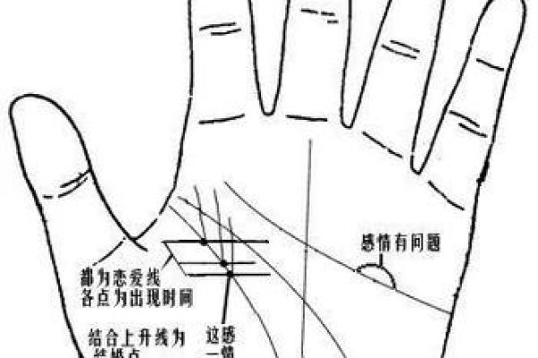 一招看手相，了妹子运势全知晓！