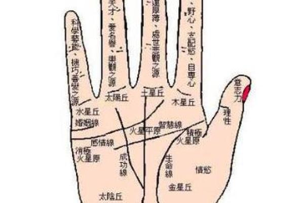 一招看手相，了妹子运势全知晓！