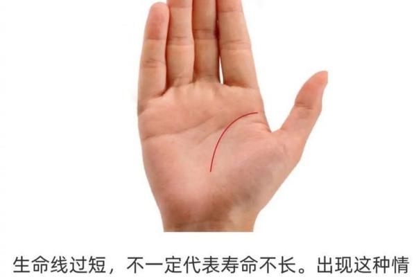 手相揭秘：老婆学历高低的秘密！
