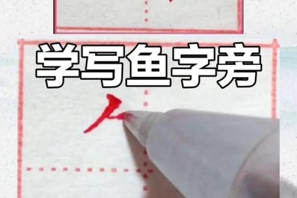 鲜字五行属性解析
