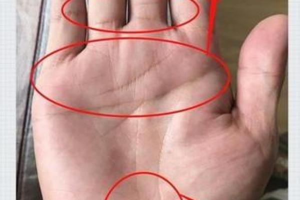 罗纹手相深度解析，掌握运势风向标！