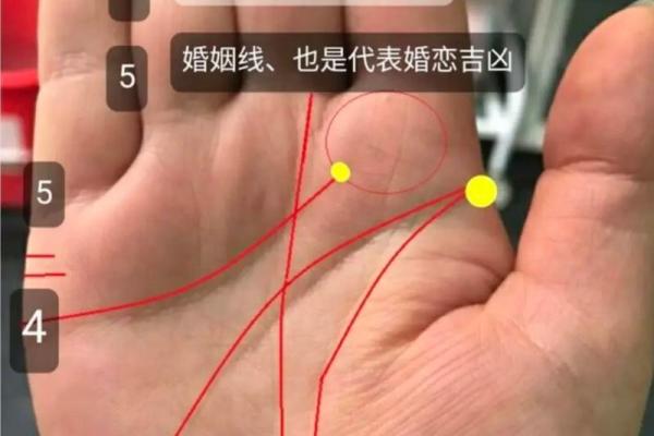离婚女人手相，揭秘婚姻的宿命之谜