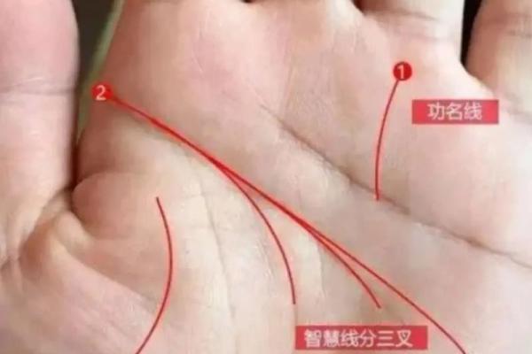 手相分析必备：选对哪只手，运势更清晰