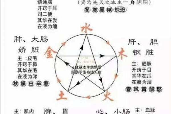 立字五行解密：探讨其木、火、土金水属性