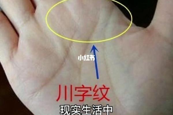 川形手相揭秘：财运亨通的秘密武器