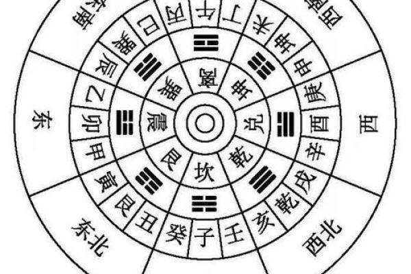 手掌藏玄机，地支运势一手掌握