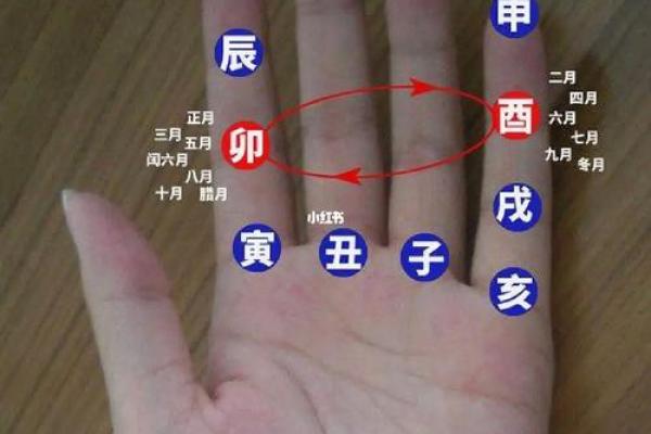 手掌藏玄机，地支运势一手掌握