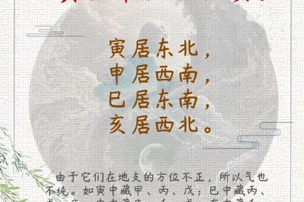地支的奥秘：探索中国传统文化的时空密码