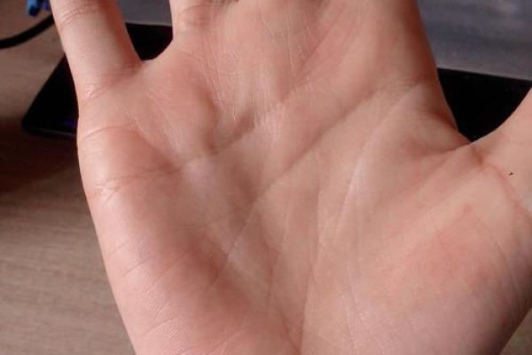 手相大师亲授：一眼看穿价格走势的神奇技巧