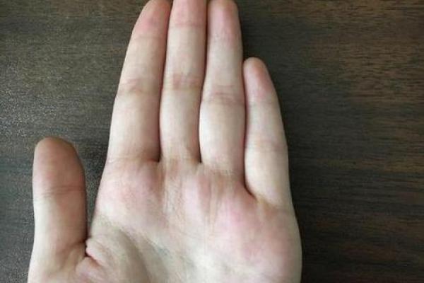 手中藏命运：一探手相背后的神秘力量