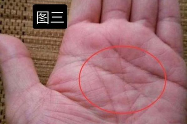手中藏命运：一探手相背后的神秘力量