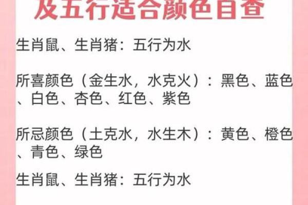 午五行与命运的关系