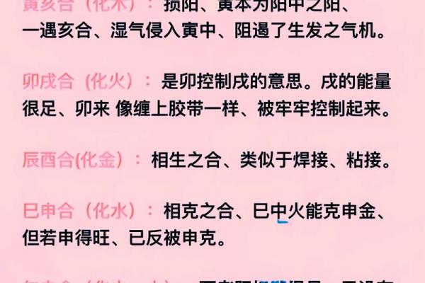 地支二戌的奥秘解析