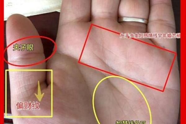手上藏秘密，看手相运势大揭秘！