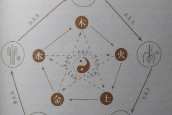 探索阳在五行中的作用与影响