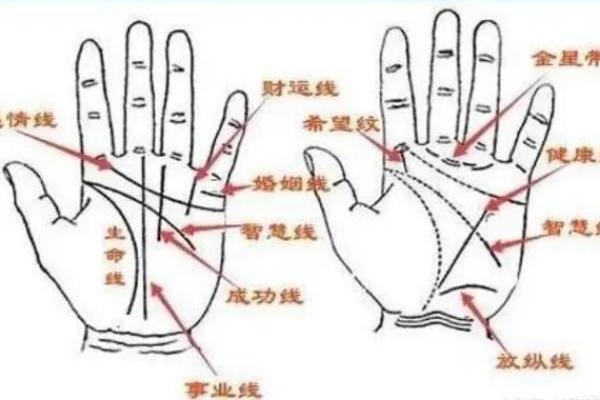 独身贵族的秘密手相揭秘