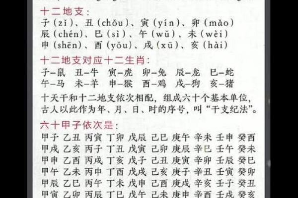 地支中有的奥秘探索