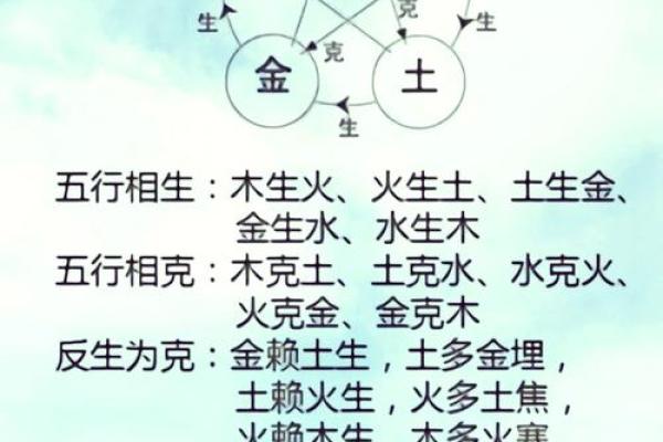 地支中有的奥秘探索