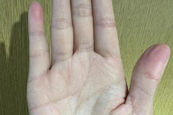 手指间的秘密：解锁记忆力的神奇手相技巧