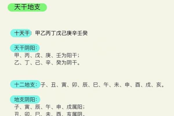猪年天干地支的奥秘解析