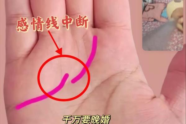 手掌上的秘密