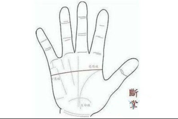 神秘断掌女：揭秘手相中的独特魅力