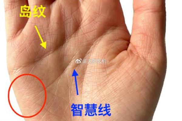 桃花手相揭秘：男子运势旺，事业爱情双丰收！