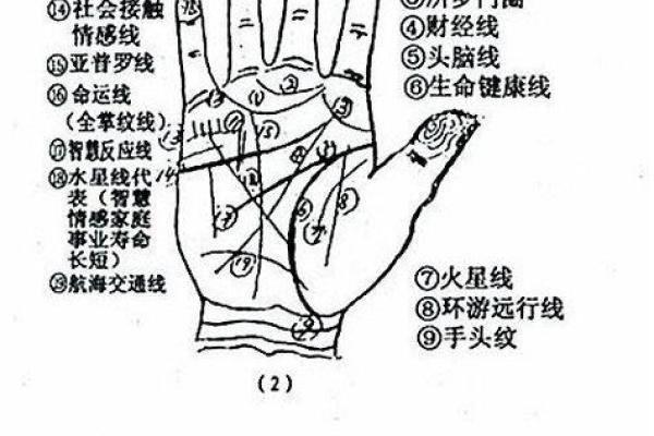 桃花手相揭秘：男子运势旺，事业爱情双丰收！