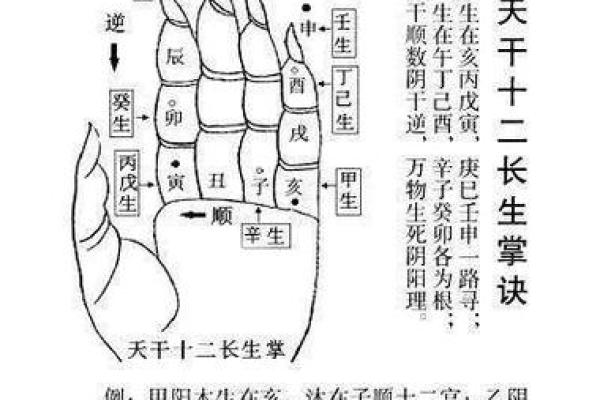 手上地支图的秘密解读
